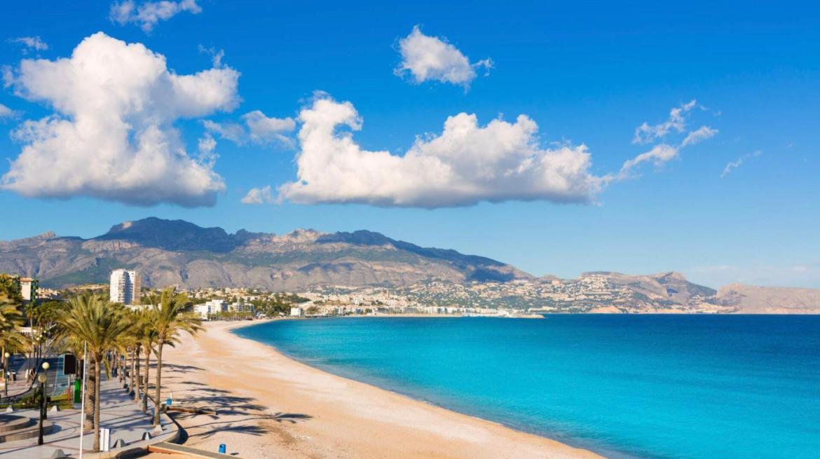 Centrally-Located, Spacious Flat At Historic Centre & Short Walk To Beach Alicante Eksteriør bilde