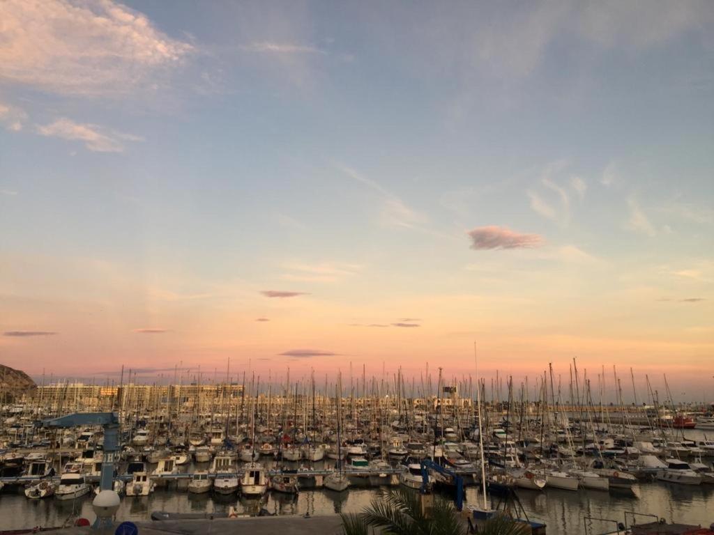 Centrally-Located, Spacious Flat At Historic Centre & Short Walk To Beach Alicante Eksteriør bilde